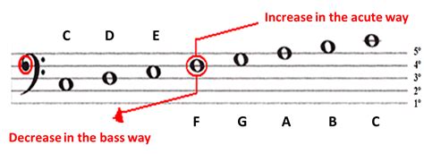 How to Read Bass Sheet Music: A Guide for Bassists